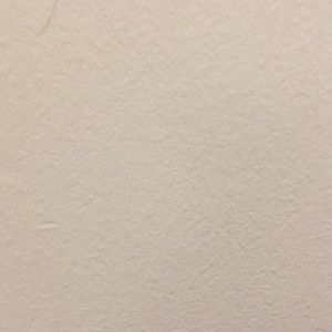 Meet your Posher, Chelsea